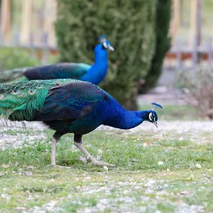 Bed & Breakfast Ca'novae - Tuscany, Montieri